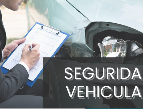 Curso Seguridad y Verificación Vehicular